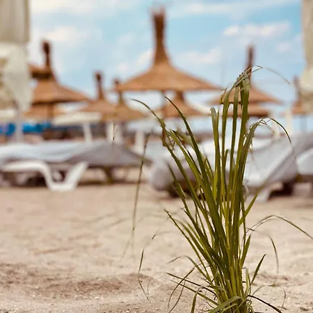 Caprice 3* Constanta